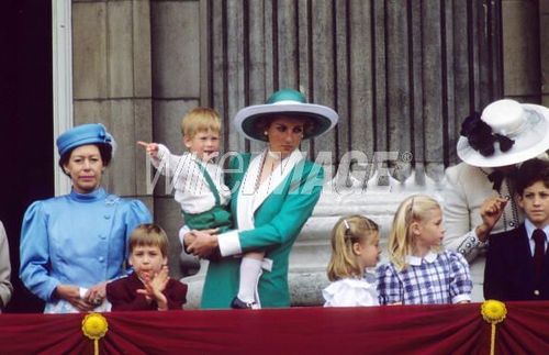  Prince William and Diana, Princess of Wales Prince Harry