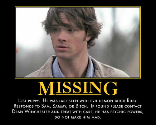  Sam Missing