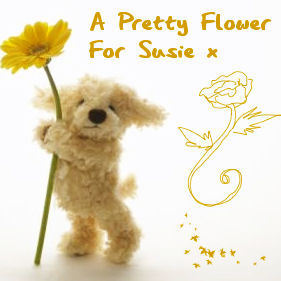  A Pretty پھول for Susie x