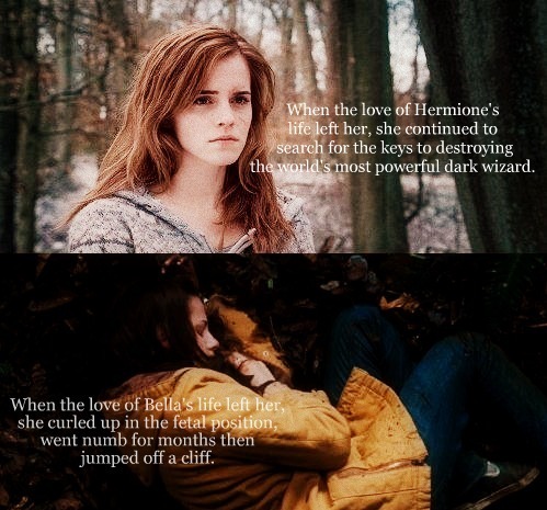  Harry Potter, Twilight