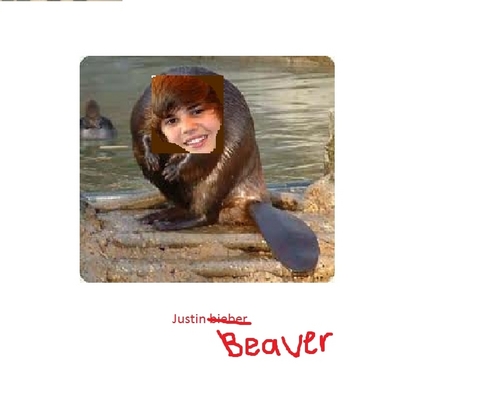  Jusin Beaver!