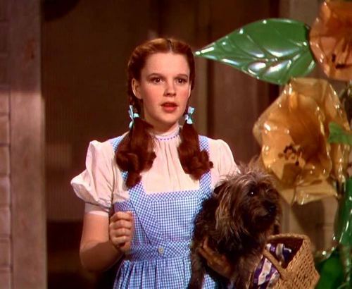  The Beauitful Dorothy Gale