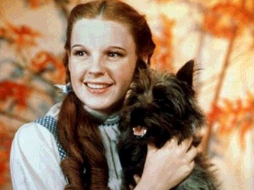  The Beautiful Dorothy Gale