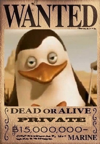  private's dead 또는 alive poster