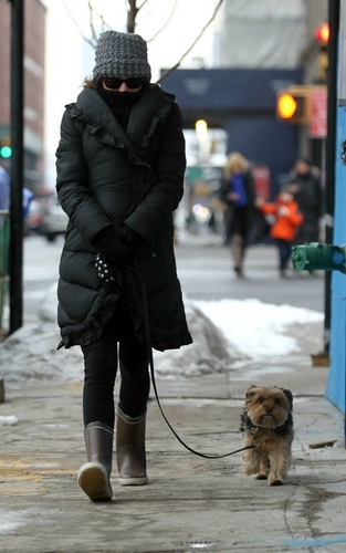  A chilly walk with Whiz in New York City