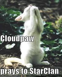  Cloudpaw!