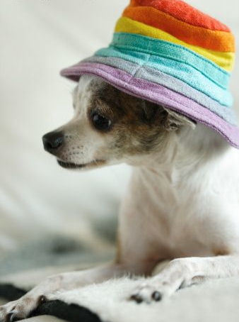  Dont Du just Liebe my hat :)