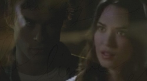 More Damon/Meredith