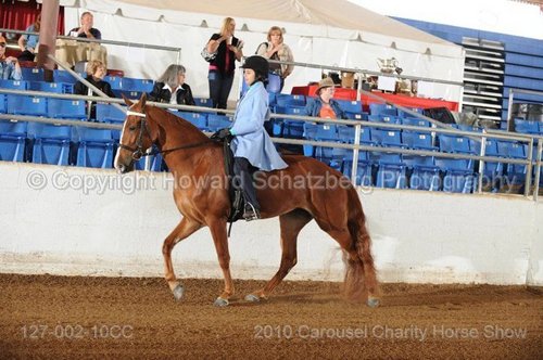 Peanut At Carousel Charity Horse Show