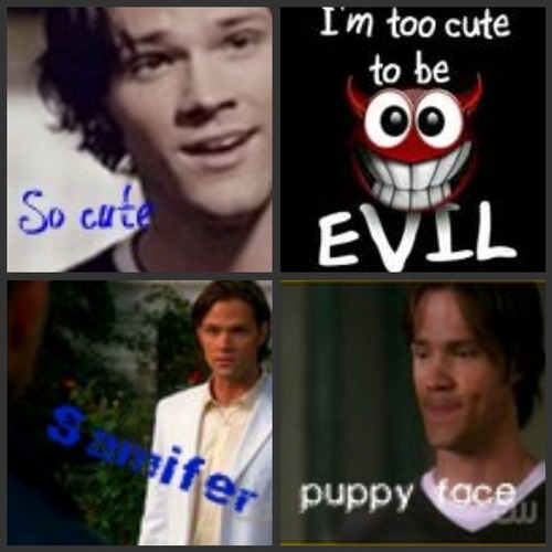  Sammy / evil