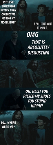  Sirius pwns Voldemort :D