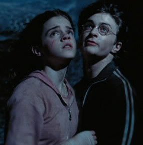  hermione and harry