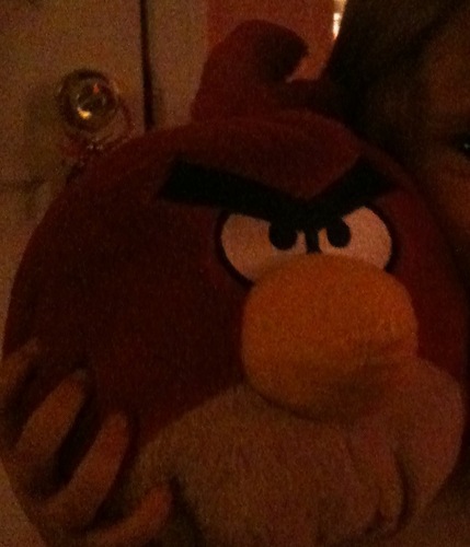  Gerard; My Angry Bird