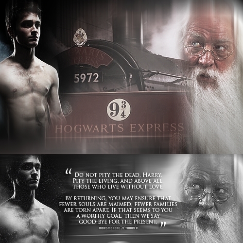  Harry & Dumbledore in DH :))