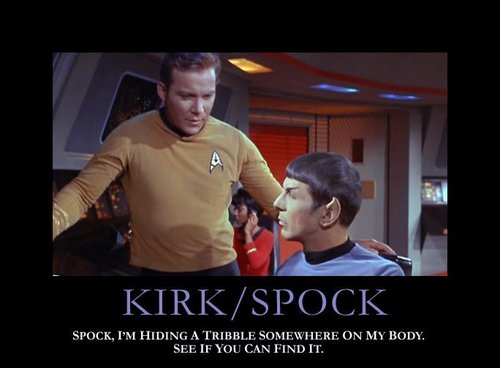  Kirk/Spock Tribble