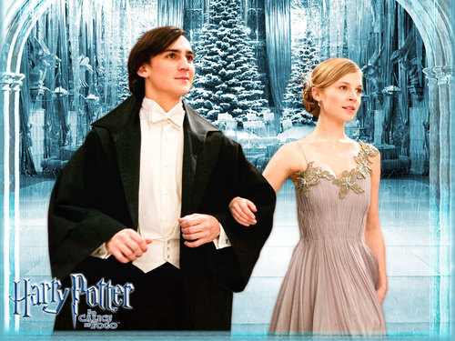 Official Brazil - Yule Ball - Fleur and Roger Davies