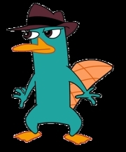  Perry the platypus