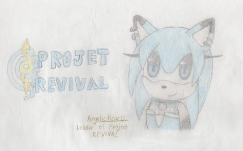  Project REVIVAL: Leader