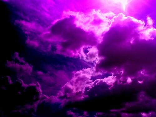  Purple Storm