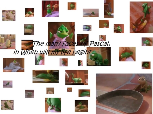  The Many Faces of Pascal