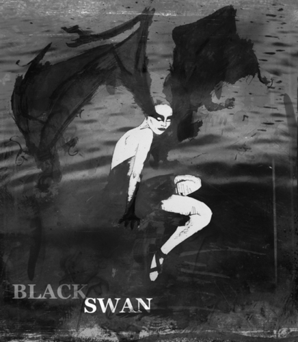  Black schwan DeviantART