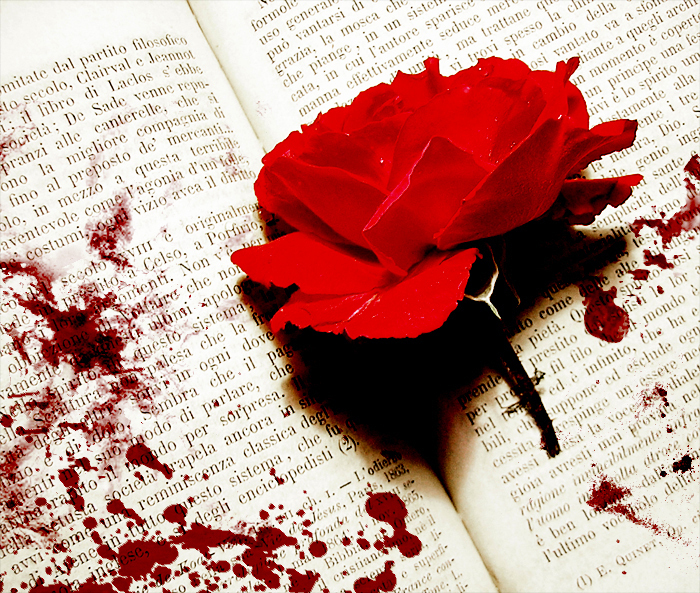 Bloody-Rose-and-Diary-random-18955149-700-593.jpg