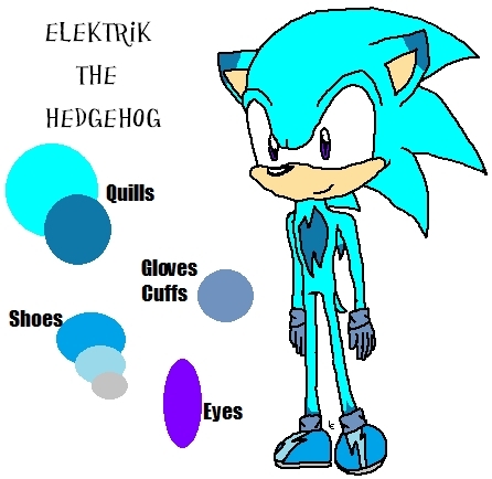  Elektrik the Hedgehog