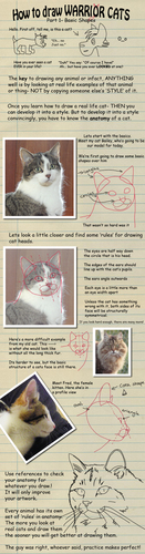  How to draw a cat