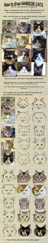  How to draw a warrior cat