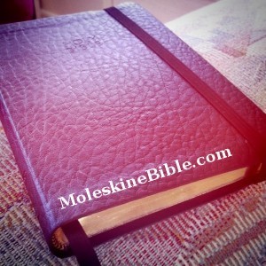  Moleskine Bible