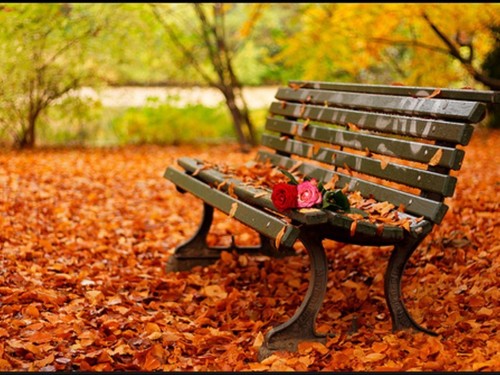  Romantic autumn