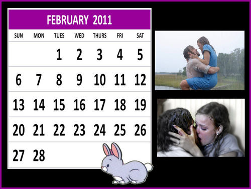 Safe 2011 Calendar -  February