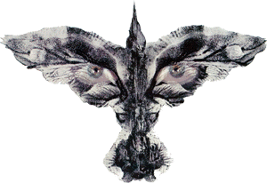 ворона logo