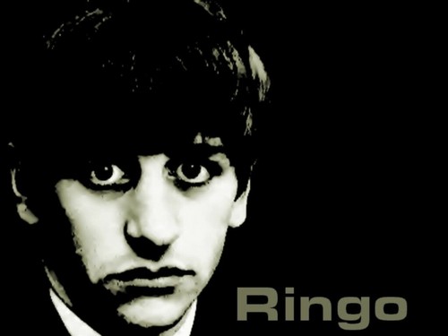  cute Ringo fond d’écran