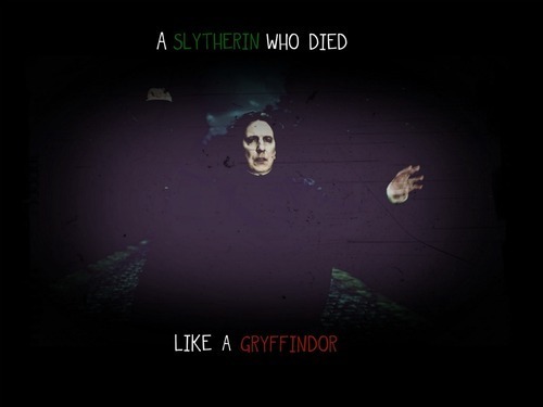  A Slytherin Who Died