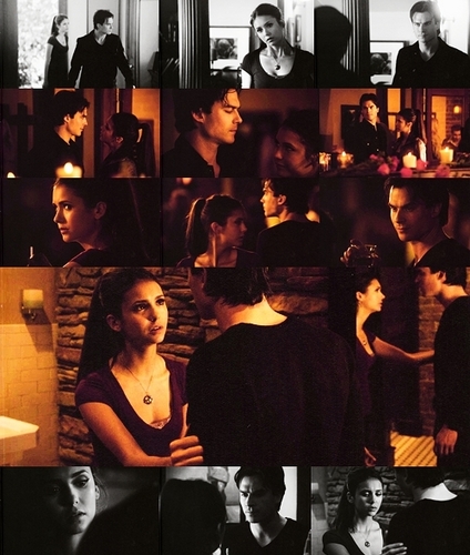  Damon & Elena [2x13]