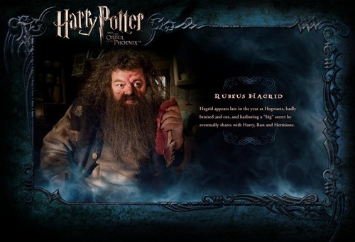  OOTP Character descrição - Hagrid