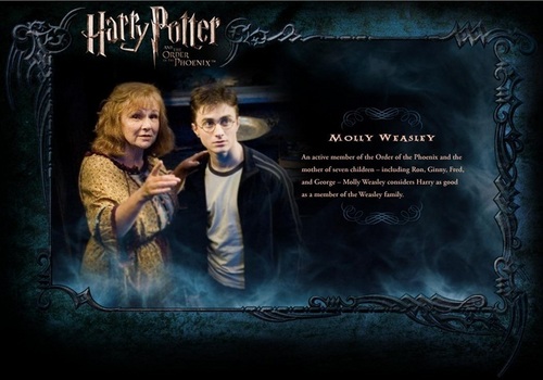 OOTP Character Description - Mrs. Weasley