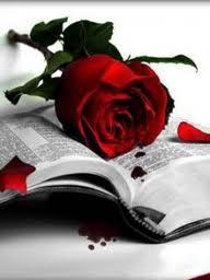  Read with a Rose