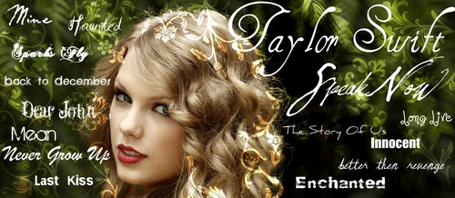  Taylor быстрый, стремительный, свифт Banner (visit www.taylorswiftaneverendingstar.webs.com for more)