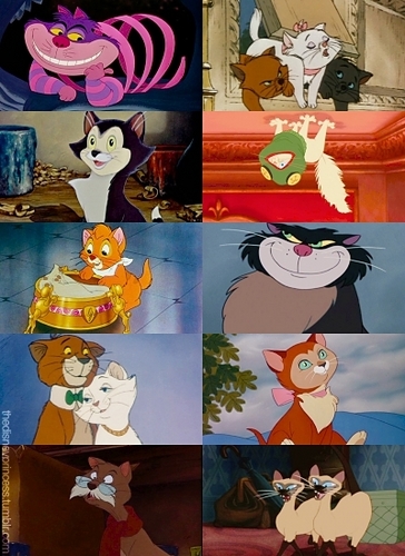  Disney Kucing