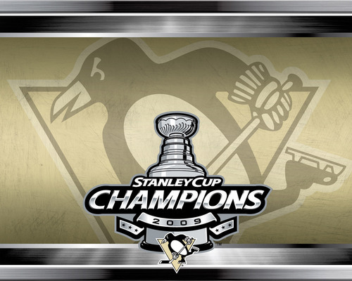  2008-09 Stanley Cup Champions
