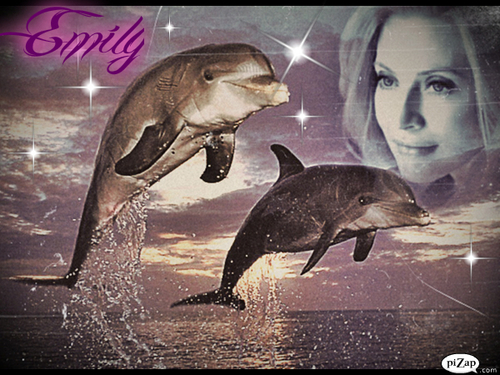Emily Procter-Dolphins