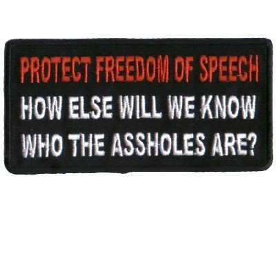  Freedom of Speech