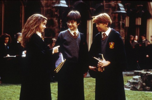  Harry, Ron y Hermione