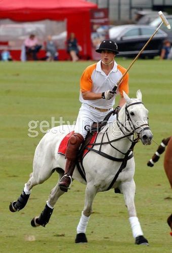 Prince William Plaus Polo At Beaufort Polo Club