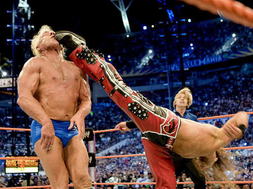  Rawak WWE Pictures