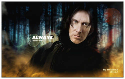 from Tim to Severus