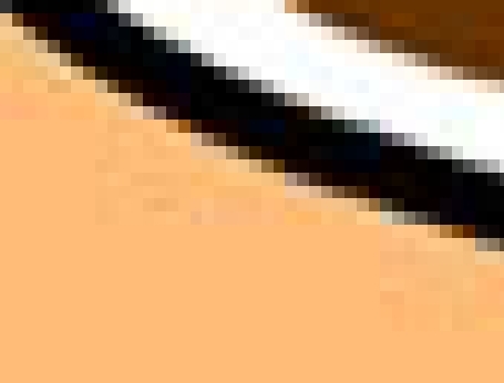  First one to First one to gusse who the close up is of gets a pagpaparangal