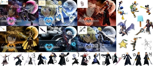 Kingdom Hearts complete person picture
